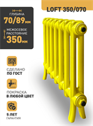 Чугунный радиатор РАДИМАКС Loft 350/070, 1 секция 107482