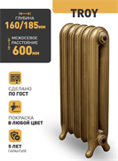 Чугунный радиатор РАДИМАКС Troy 600, 1 секция 107489